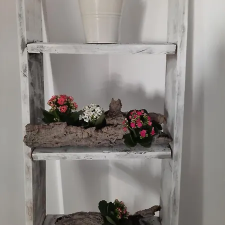 Casa Cruz 아파트